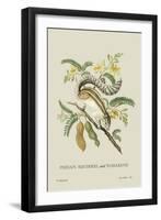 Indian Squirrel and Tamarind-J. Forbes-Framed Art Print