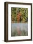 Indian Summer in the Us Federal State of New Hampshire-Armin Mathis-Framed Photographic Print