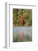 Indian Summer in the Us Federal State of New Hampshire-Armin Mathis-Framed Photographic Print