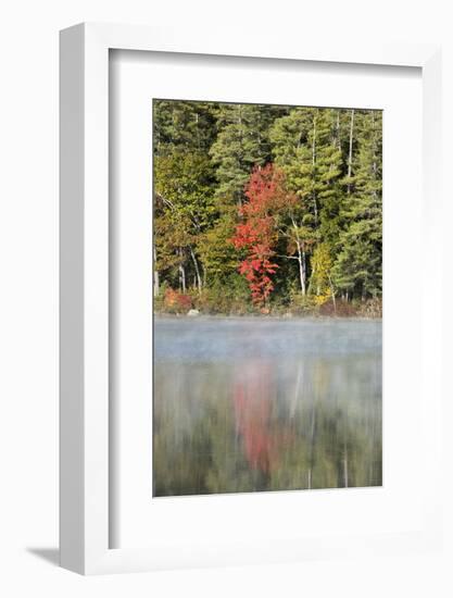 Indian Summer in the Us Federal State of New Hampshire-Armin Mathis-Framed Photographic Print