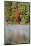 Indian Summer in the Us Federal State of New Hampshire-Armin Mathis-Mounted Photographic Print