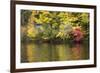 Indian Summer in the Us Federal State of New Hampshire-Armin Mathis-Framed Photographic Print