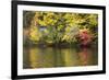 Indian Summer in the Us Federal State of New Hampshire-Armin Mathis-Framed Photographic Print