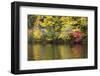 Indian Summer in the Us Federal State of New Hampshire-Armin Mathis-Framed Photographic Print