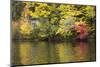 Indian Summer in the Us Federal State of New Hampshire-Armin Mathis-Mounted Photographic Print