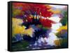 Indian Summer-Tadashi Asoma-Framed Stretched Canvas