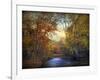 Indian Summer-Jessica Jenney-Framed Giclee Print