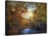 Indian Summer-Jessica Jenney-Stretched Canvas