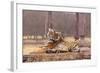Indian Tiger at the Cenotaph-null-Framed Photographic Print