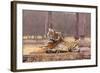 Indian Tiger at the Cenotaph-null-Framed Photographic Print