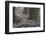 Indian Tiger, (Bengal Tiger) (Panthera Tigris Tigris), Bandhavgarh National Park-Thorsten Milse-Framed Photographic Print