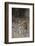 Indian Tiger, (Bengal Tiger) (Panthera Tigris Tigris), Bandhavgarh National Park-Thorsten Milse-Framed Photographic Print