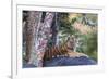 Indian tiger, Madya Pradesh, India-Art Wolfe Wolfe-Framed Photographic Print