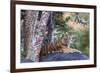 Indian tiger, Madya Pradesh, India-Art Wolfe Wolfe-Framed Photographic Print