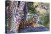 Indian tiger, Madya Pradesh, India-Art Wolfe Wolfe-Stretched Canvas