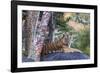 Indian tiger, Madya Pradesh, India-Art Wolfe Wolfe-Framed Photographic Print