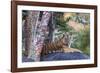 Indian tiger, Madya Pradesh, India-Art Wolfe Wolfe-Framed Photographic Print