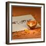 Indian Traditional Lamp Placed on a Book with Sanskrit Calligraphy-satel-Framed Photographic Print