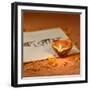 Indian Traditional Lamp Placed on a Book with Sanskrit Calligraphy-satel-Framed Photographic Print