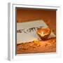 Indian Traditional Lamp Placed on a Book with Sanskrit Calligraphy-satel-Framed Photographic Print