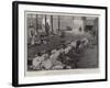 Indian Troops for the Nile Expedition-Henry Marriott Paget-Framed Giclee Print