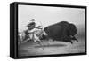 Indian Trying to Kill Buffalo-null-Framed Stretched Canvas