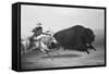 Indian Trying to Kill Buffalo-null-Framed Stretched Canvas