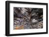 Indian Tunnel Lava Tube, Craters of the Moon National Monument-Alan Majchrowicz-Framed Photographic Print