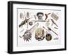 'Indian Utensils and Arms', 1843-Du Casse-Framed Giclee Print