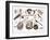 'Indian Utensils and Arms', 1843-Du Casse-Framed Giclee Print