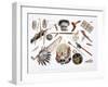 'Indian Utensils and Arms', 1843-Du Casse-Framed Giclee Print