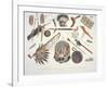 Indian Utensils and Arms, Engraved by Du Casse, Published in 1841-Karl Bodmer-Framed Giclee Print