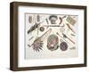 Indian Utensils and Arms, Engraved by Du Casse, Published in 1841-Karl Bodmer-Framed Giclee Print