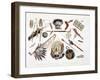 Indian Utensils and Arms, Plate 48, Travels in the Interior of North America, c.1844-Karl Bodmer-Framed Giclee Print