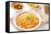 Indian Vegetarian Food. Biryani Rice, Curry Dhal and Milk Tea on Dining Table.-szefei-Framed Stretched Canvas