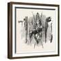 Indian Weapons; Spear, Axe, Bow and Arrow, USA, 1870S-null-Framed Giclee Print