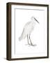 Indian White Heron-Maria Mendez-Framed Giclee Print