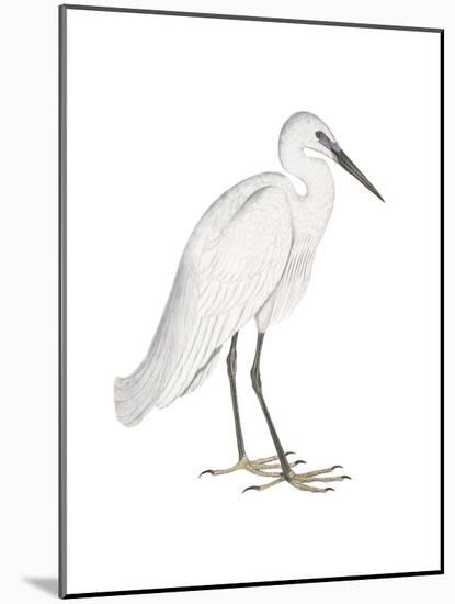 Indian White Heron-Maria Mendez-Mounted Giclee Print