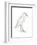 Indian White Heron-Maria Mendez-Framed Art Print