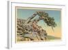 Indian with Bent Pine, Glacier Park, Montana-null-Framed Art Print