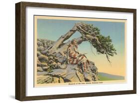 Indian with Bent Pine, Glacier Park, Montana-null-Framed Art Print