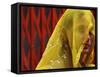 Indian Woman after Taking a Holy Dip in River Ganges During the Kumbh Mela Festival-null-Framed Stretched Canvas