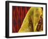 Indian Woman after Taking a Holy Dip in River Ganges During the Kumbh Mela Festival-null-Framed Photographic Print