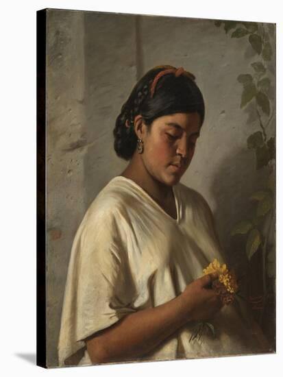 Indian Woman with Marigold,1876-Felipe Santiago Gutierrez-Stretched Canvas