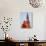 Indian Women at Qutb Minar (UNESCO World Heritage Site), Delhi, India-Keren Su-Photographic Print displayed on a wall