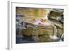 Indiana. Cataract Falls SNA, Rocks at Lower Cataract Waterfall-Rona Schwarz-Framed Photographic Print