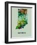 Indiana Color Splatter Map-NaxArt-Framed Art Print