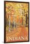 Indiana - Fall Colors-Lantern Press-Framed Art Print