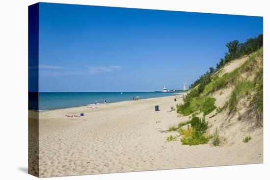Indiana Sand Dunes, Indiana, United States of America, North America-Michael Runkel-Stretched Canvas