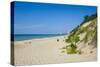 Indiana Sand Dunes, Indiana, United States of America, North America-Michael Runkel-Stretched Canvas